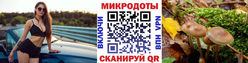 как найти закладки  Урюпинск  Псилоцибиновые грибы прущие грибы 